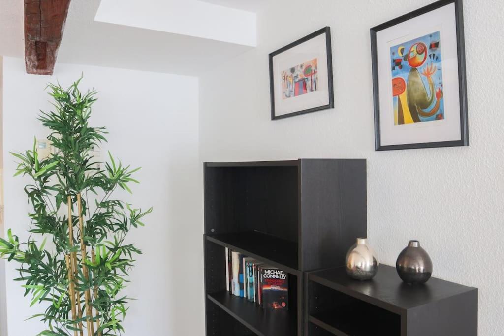 Appartamento Le Contemporain, Hypercentre Mulhouse Esterno foto